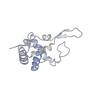 20255_6p5i_U_v1-4
Structure of a mammalian 80S ribosome in complex with the Israeli Acute Paralysis Virus IRES (Class 1)