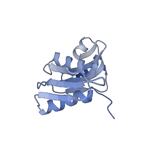 20255_6p5i_X_v1-4
Structure of a mammalian 80S ribosome in complex with the Israeli Acute Paralysis Virus IRES (Class 1)