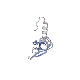 20255_6p5i_Y_v1-4
Structure of a mammalian 80S ribosome in complex with the Israeli Acute Paralysis Virus IRES (Class 1)