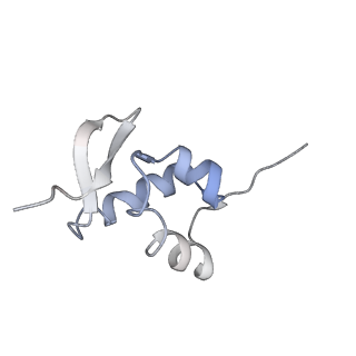 20255_6p5i_a_v1-4
Structure of a mammalian 80S ribosome in complex with the Israeli Acute Paralysis Virus IRES (Class 1)