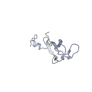 20255_6p5i_c_v1-4
Structure of a mammalian 80S ribosome in complex with the Israeli Acute Paralysis Virus IRES (Class 1)