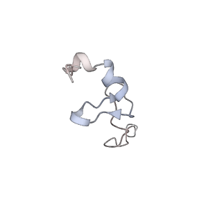 20255_6p5i_e_v1-4
Structure of a mammalian 80S ribosome in complex with the Israeli Acute Paralysis Virus IRES (Class 1)