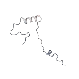 20255_6p5i_f_v1-4
Structure of a mammalian 80S ribosome in complex with the Israeli Acute Paralysis Virus IRES (Class 1)