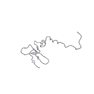 20255_6p5i_g_v1-4
Structure of a mammalian 80S ribosome in complex with the Israeli Acute Paralysis Virus IRES (Class 1)