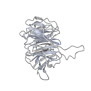 20255_6p5i_h_v1-4
Structure of a mammalian 80S ribosome in complex with the Israeli Acute Paralysis Virus IRES (Class 1)