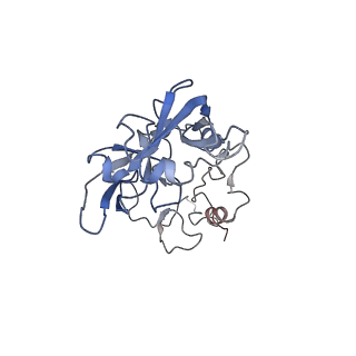 20256_6p5j_AA_v1-4
Structure of a mammalian 80S ribosome in complex with the Israeli Acute Paralysis Virus IRES (Class 2)