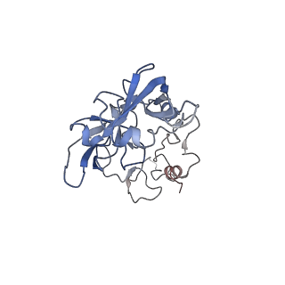 20256_6p5j_AA_v1-5
Structure of a mammalian 80S ribosome in complex with the Israeli Acute Paralysis Virus IRES (Class 2)