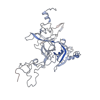 20256_6p5j_AB_v1-5
Structure of a mammalian 80S ribosome in complex with the Israeli Acute Paralysis Virus IRES (Class 2)