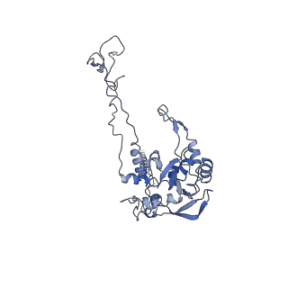 20256_6p5j_AC_v1-4
Structure of a mammalian 80S ribosome in complex with the Israeli Acute Paralysis Virus IRES (Class 2)
