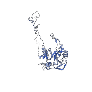 20256_6p5j_AC_v1-5
Structure of a mammalian 80S ribosome in complex with the Israeli Acute Paralysis Virus IRES (Class 2)