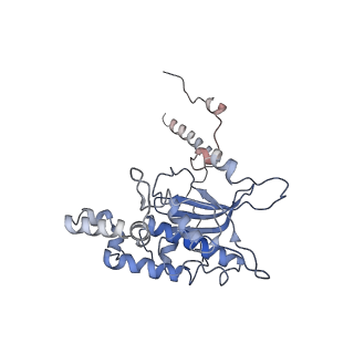 20256_6p5j_AD_v1-4
Structure of a mammalian 80S ribosome in complex with the Israeli Acute Paralysis Virus IRES (Class 2)