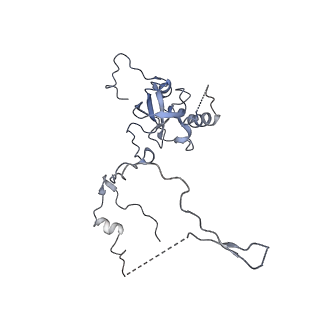 20256_6p5j_AE_v1-4
Structure of a mammalian 80S ribosome in complex with the Israeli Acute Paralysis Virus IRES (Class 2)