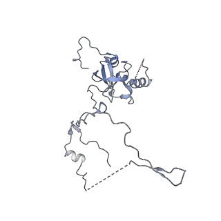 20256_6p5j_AE_v1-5
Structure of a mammalian 80S ribosome in complex with the Israeli Acute Paralysis Virus IRES (Class 2)