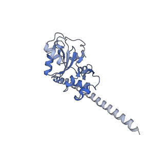 20256_6p5j_AF_v1-4
Structure of a mammalian 80S ribosome in complex with the Israeli Acute Paralysis Virus IRES (Class 2)