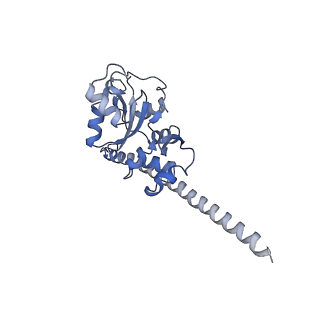 20256_6p5j_AF_v1-5
Structure of a mammalian 80S ribosome in complex with the Israeli Acute Paralysis Virus IRES (Class 2)