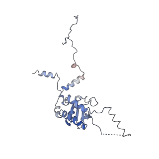 20256_6p5j_AG_v1-4
Structure of a mammalian 80S ribosome in complex with the Israeli Acute Paralysis Virus IRES (Class 2)