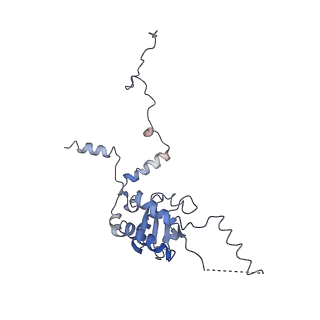 20256_6p5j_AG_v1-5
Structure of a mammalian 80S ribosome in complex with the Israeli Acute Paralysis Virus IRES (Class 2)