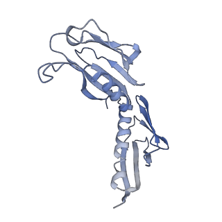 20256_6p5j_AH_v1-4
Structure of a mammalian 80S ribosome in complex with the Israeli Acute Paralysis Virus IRES (Class 2)