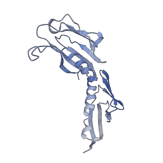 20256_6p5j_AH_v1-5
Structure of a mammalian 80S ribosome in complex with the Israeli Acute Paralysis Virus IRES (Class 2)