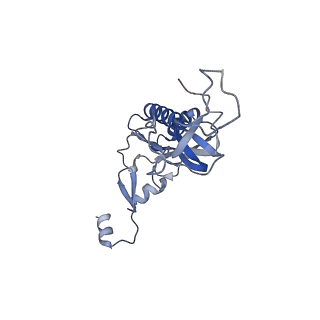 20256_6p5j_AI_v1-4
Structure of a mammalian 80S ribosome in complex with the Israeli Acute Paralysis Virus IRES (Class 2)
