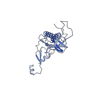 20256_6p5j_AI_v1-5
Structure of a mammalian 80S ribosome in complex with the Israeli Acute Paralysis Virus IRES (Class 2)