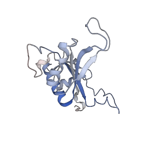 20256_6p5j_AJ_v1-4
Structure of a mammalian 80S ribosome in complex with the Israeli Acute Paralysis Virus IRES (Class 2)