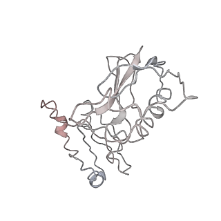20256_6p5j_AK_v1-4
Structure of a mammalian 80S ribosome in complex with the Israeli Acute Paralysis Virus IRES (Class 2)