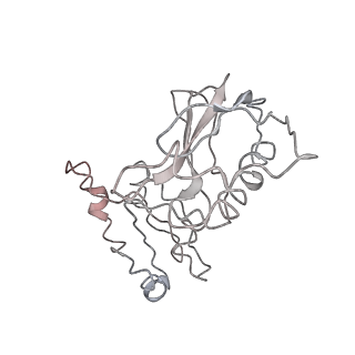 20256_6p5j_AK_v1-5
Structure of a mammalian 80S ribosome in complex with the Israeli Acute Paralysis Virus IRES (Class 2)