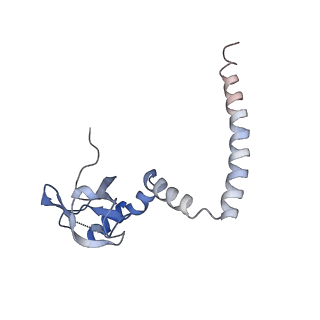 20256_6p5j_AM_v1-4
Structure of a mammalian 80S ribosome in complex with the Israeli Acute Paralysis Virus IRES (Class 2)