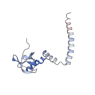 20256_6p5j_AM_v1-5
Structure of a mammalian 80S ribosome in complex with the Israeli Acute Paralysis Virus IRES (Class 2)