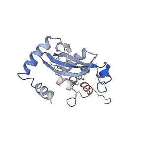 20256_6p5j_AN_v1-5
Structure of a mammalian 80S ribosome in complex with the Israeli Acute Paralysis Virus IRES (Class 2)