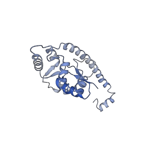 20256_6p5j_AO_v1-5
Structure of a mammalian 80S ribosome in complex with the Israeli Acute Paralysis Virus IRES (Class 2)