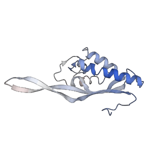 20256_6p5j_AP_v1-5
Structure of a mammalian 80S ribosome in complex with the Israeli Acute Paralysis Virus IRES (Class 2)