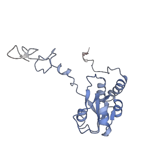 20256_6p5j_AQ_v1-5
Structure of a mammalian 80S ribosome in complex with the Israeli Acute Paralysis Virus IRES (Class 2)