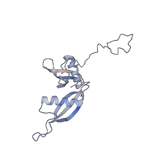 20256_6p5j_AS_v1-4
Structure of a mammalian 80S ribosome in complex with the Israeli Acute Paralysis Virus IRES (Class 2)