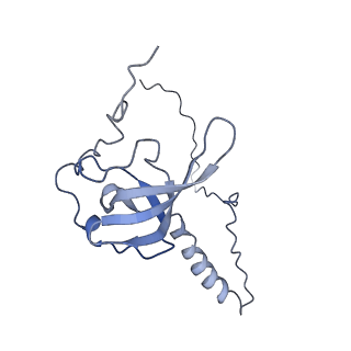20256_6p5j_AT_v1-4
Structure of a mammalian 80S ribosome in complex with the Israeli Acute Paralysis Virus IRES (Class 2)