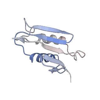 20256_6p5j_AU_v1-5
Structure of a mammalian 80S ribosome in complex with the Israeli Acute Paralysis Virus IRES (Class 2)