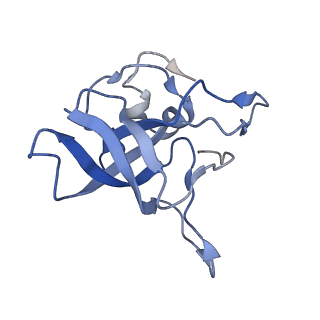 20256_6p5j_AV_v1-5
Structure of a mammalian 80S ribosome in complex with the Israeli Acute Paralysis Virus IRES (Class 2)