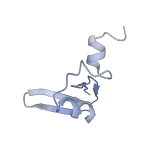 20256_6p5j_AW_v1-5
Structure of a mammalian 80S ribosome in complex with the Israeli Acute Paralysis Virus IRES (Class 2)