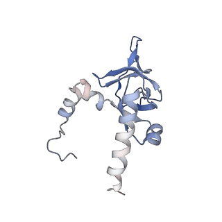20256_6p5j_AY_v1-4
Structure of a mammalian 80S ribosome in complex with the Israeli Acute Paralysis Virus IRES (Class 2)