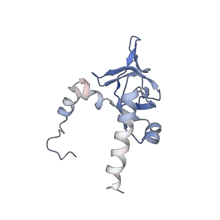 20256_6p5j_AY_v1-5
Structure of a mammalian 80S ribosome in complex with the Israeli Acute Paralysis Virus IRES (Class 2)