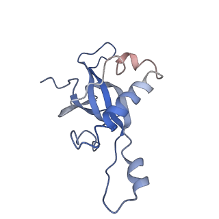 20256_6p5j_AZ_v1-4
Structure of a mammalian 80S ribosome in complex with the Israeli Acute Paralysis Virus IRES (Class 2)