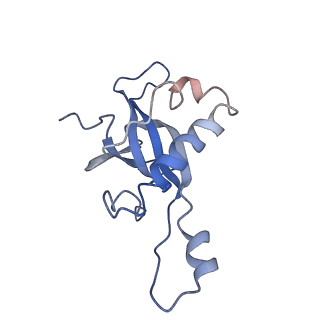 20256_6p5j_AZ_v1-5
Structure of a mammalian 80S ribosome in complex with the Israeli Acute Paralysis Virus IRES (Class 2)