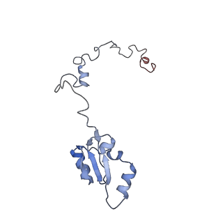 20256_6p5j_Aa_v1-4
Structure of a mammalian 80S ribosome in complex with the Israeli Acute Paralysis Virus IRES (Class 2)