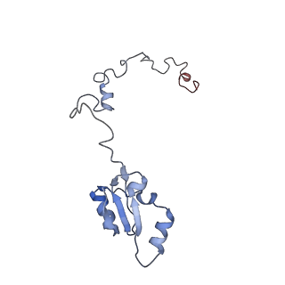 20256_6p5j_Aa_v1-5
Structure of a mammalian 80S ribosome in complex with the Israeli Acute Paralysis Virus IRES (Class 2)