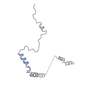 20256_6p5j_Ab_v1-5
Structure of a mammalian 80S ribosome in complex with the Israeli Acute Paralysis Virus IRES (Class 2)