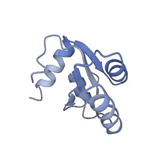 20256_6p5j_Ac_v1-5
Structure of a mammalian 80S ribosome in complex with the Israeli Acute Paralysis Virus IRES (Class 2)