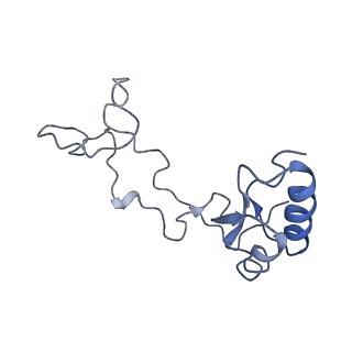 20256_6p5j_Ae_v1-4
Structure of a mammalian 80S ribosome in complex with the Israeli Acute Paralysis Virus IRES (Class 2)