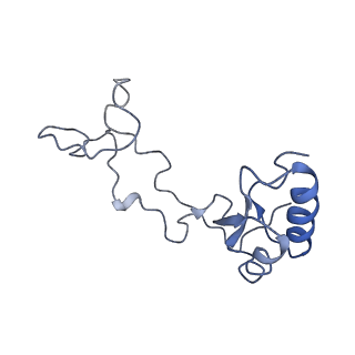 20256_6p5j_Ae_v1-5
Structure of a mammalian 80S ribosome in complex with the Israeli Acute Paralysis Virus IRES (Class 2)