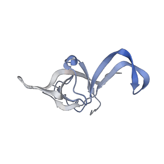 20256_6p5j_Af_v1-5
Structure of a mammalian 80S ribosome in complex with the Israeli Acute Paralysis Virus IRES (Class 2)